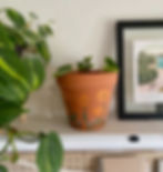Hand-Painted Terracotta Pots