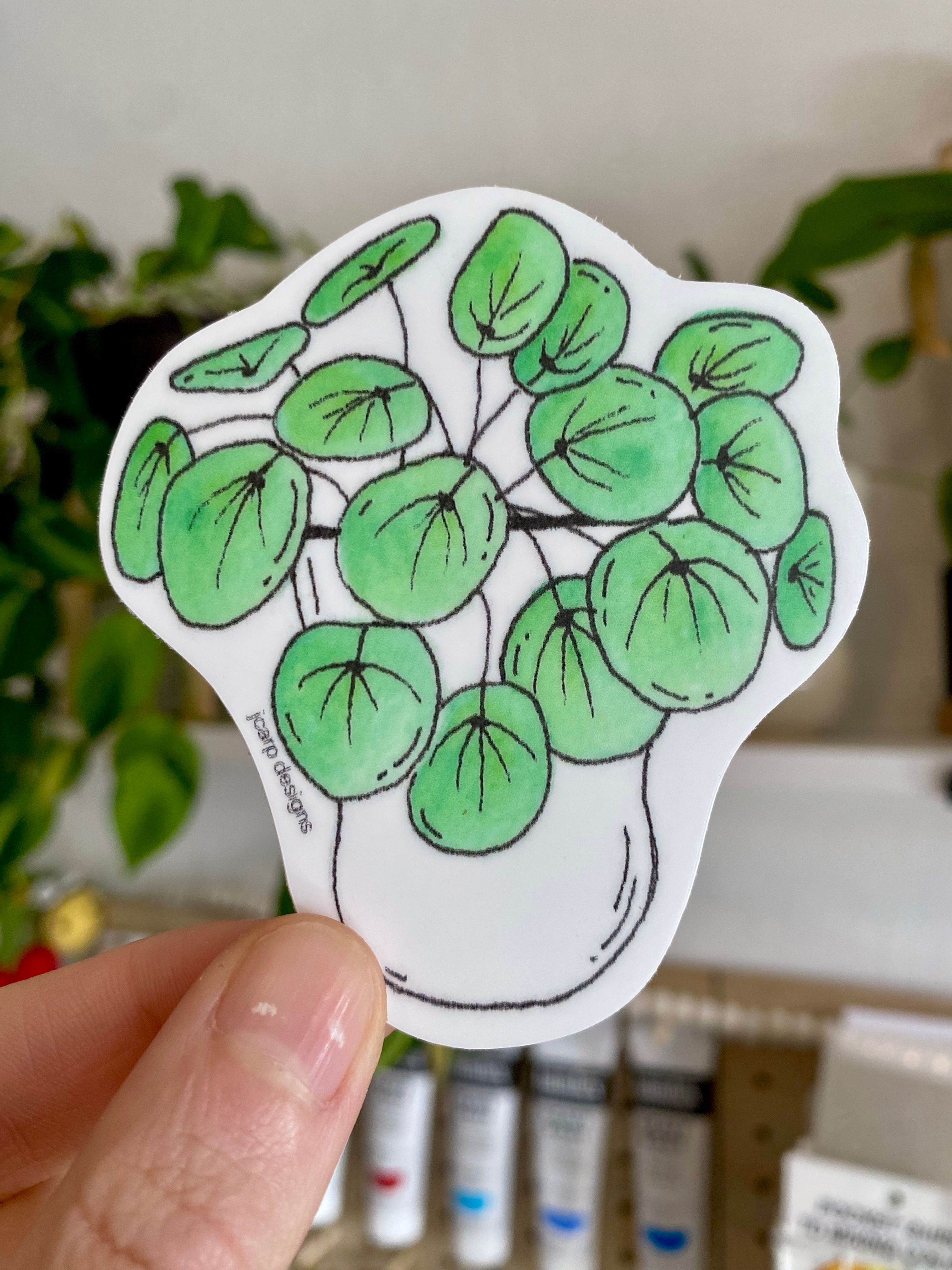 Vinyl Money Plant Sticker
