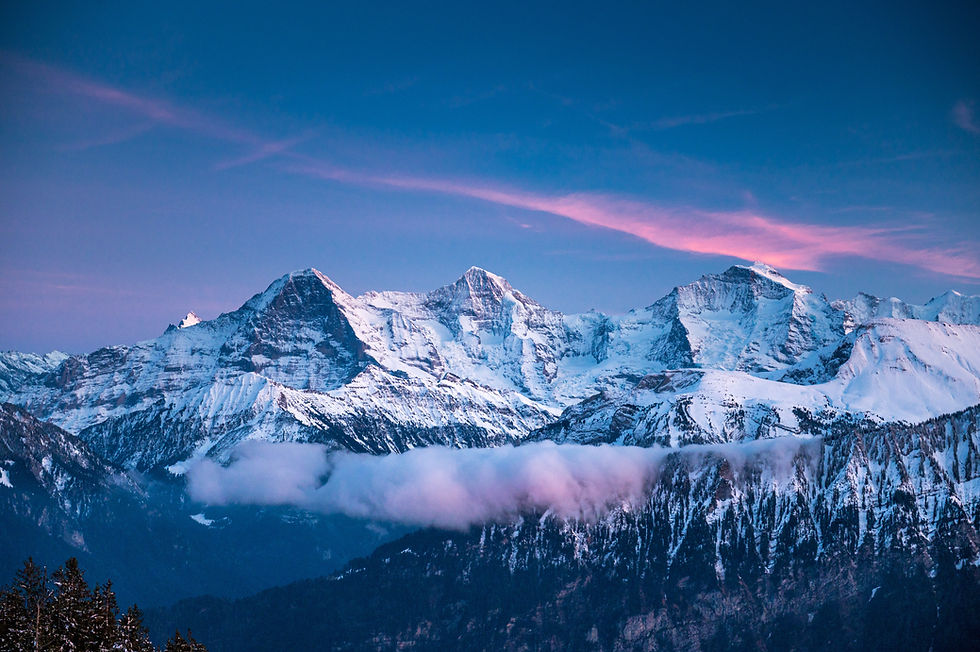 AdobeStock_312627514.jpeg