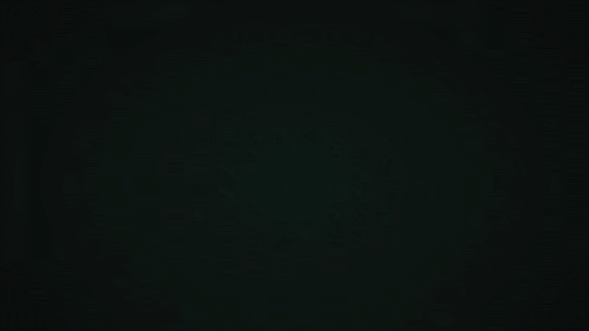 home_network_v2.gif