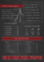 cabin crew flight attendant poster with flights details, destinations and stats on a black background