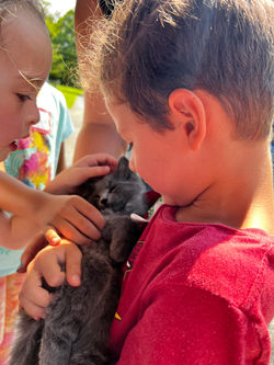 August Mini_2024 Cat with Kids