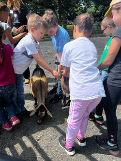 Kids w_Goats