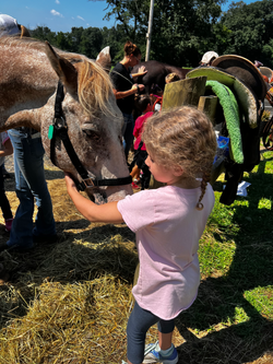 August Camp Sparrow_Houdini
