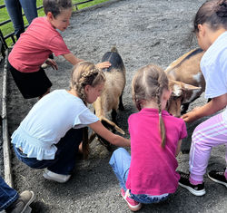 August Mini_2024 Goats with kids