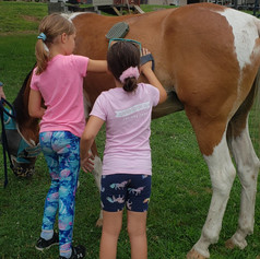 Girls Grooming Sulley.JPEG