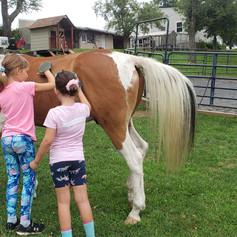 Lisa & Girls Grooming Sulley.JPEG