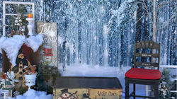Snow Backdrop