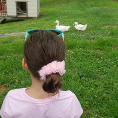 Faith watching Ducks.JPEG