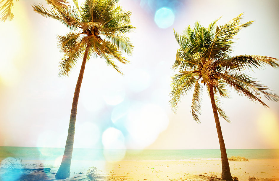 Serenity tropical beach, instagram filter.jpg