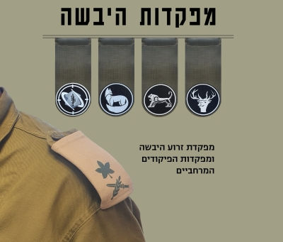 בזכות המבוכה והמבולקה היבשתית