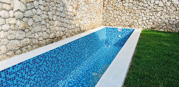 WhatsApp Image 2025-12-17 at 11.55_edited.jpg