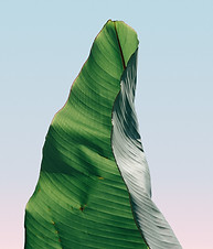 pierre-chatel-innocenti-Lk-nu_hX6ms-unsplash 2.png