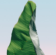 Healthinfi-1.jpg
