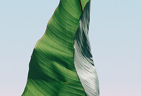 pierre-chatel-innocenti-Lk-nu_hX6ms-unsplash 2.png