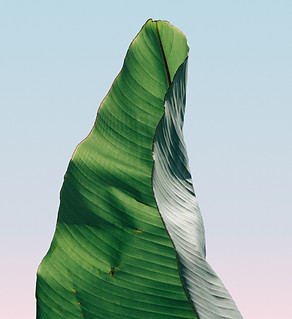pierre-chatel-innocenti-Lk-nu_hX6ms-unsplash 2.png