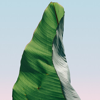 IMG_6577 (1)_edited.jpg