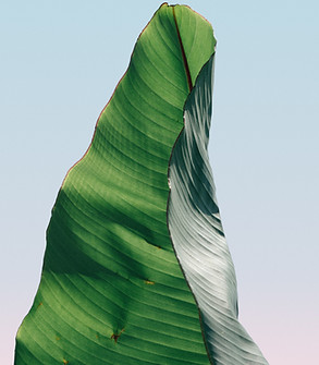 pierre-chatel-innocenti-Lk-nu_hX6ms-unsplash 2.png