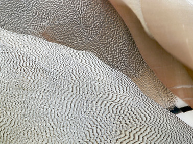 Client Case Study Virtual CFO