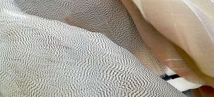Aerial view of desert