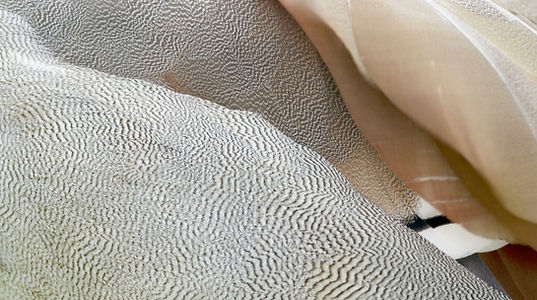 Mandy in the grease trap