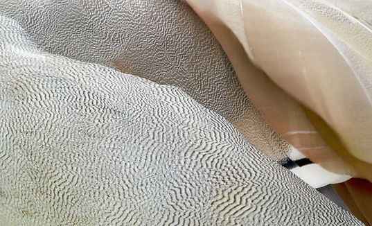 Untitled design (7).png