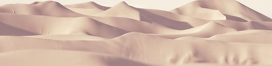 Untitled_Artwork 6.png