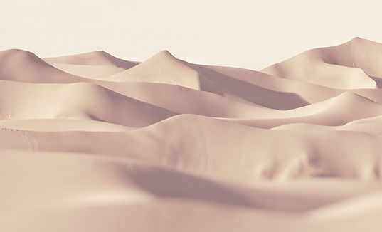 Untitled design (7).png