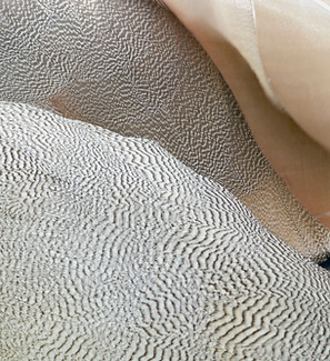 11062b_f0cd2b56e86443d68d21b6bc12fe055c_