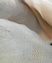 Breathwork