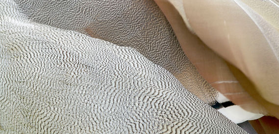 Tide