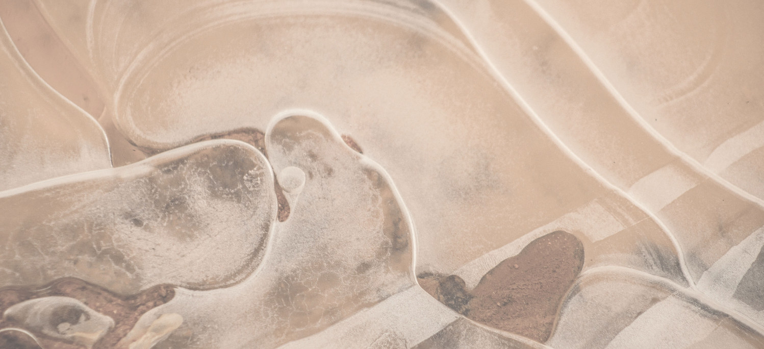 Abstract translucent natural forms