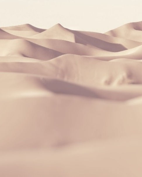 Round table R4O (Instagram Post (45)) (2).png