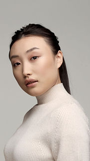 Collaboration - Presidium