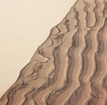 Alisha Newton_edited.jpg