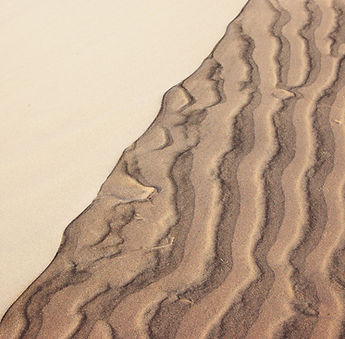 Heritage Foundation reach and resources