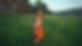 GettyImages-1272319404_ravid.jpg