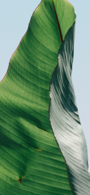 Kids Swimming Underwater