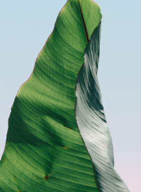 Jay Senior (1 of 5).JPG