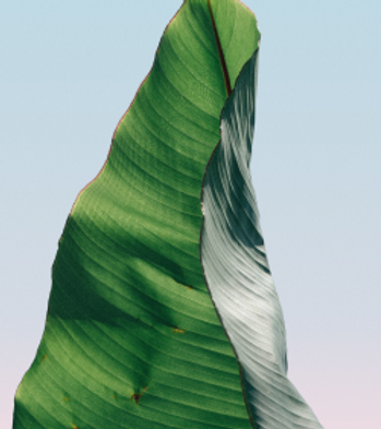 BDL Lelystad - Lead pastors Koorndijk_edited.jpg