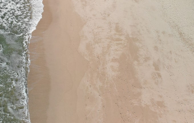 Binder 1_edited_edited_edited.jpg