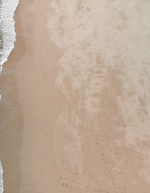 1st Grade Social Emotional Mental Lesson Plan.png