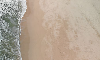 Working with Giants.png