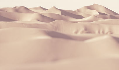 Gemini_Generated_Image_o6fdtvo6fdtvo6fd.png