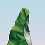 Green Art