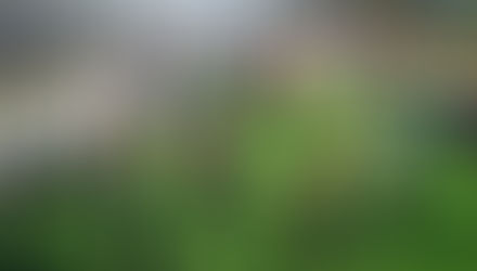 ENTRENAMIENTO FUNCIONAL