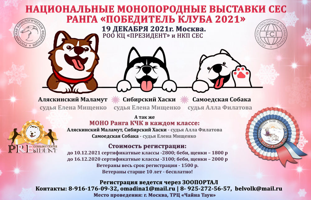 Выставки Выставки