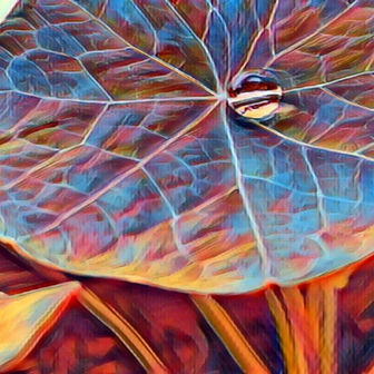 Morning Dew on another Planet
