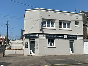 Clinique Vétérinaire Joliot Curie, Le Havre (76) Clinique Vétérinaire Joliot Curie, Le Havre (76)
