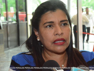 LEANDRO DE LA O
La vice coordinadora parlamentaria del PRD, en el Congreso local, Elsy Lidia Izqui